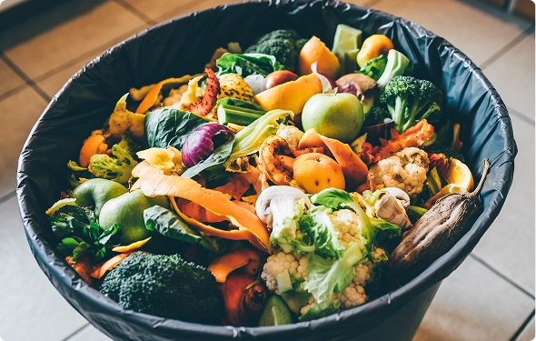 Organic and Food Waste