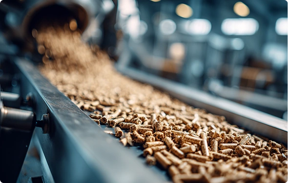 Waste-to-Energy & Biomass