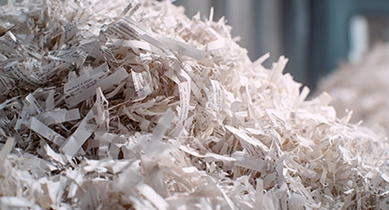 Shredded Office Paper